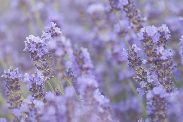 Similar image 1341373