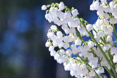 Similar image 1341397