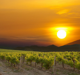 Similar image 1341398