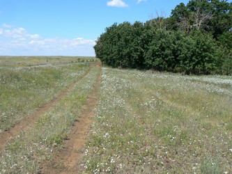 Similar image 1341405