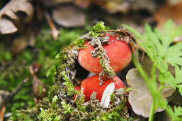 Similar image 1341428