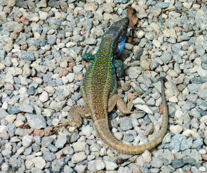 Similar image 1341430