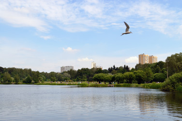 Similar image 1341446