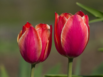 Similar image 1341485