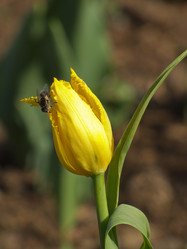 Similar image 1341486