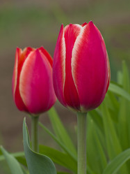 Similar image 1341487