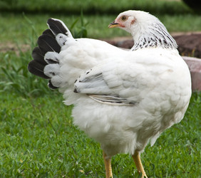 Similar image 1341488