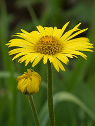 Similar image 1341490