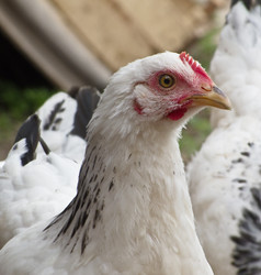 Similar image 1341491