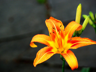 Similar image 1341493