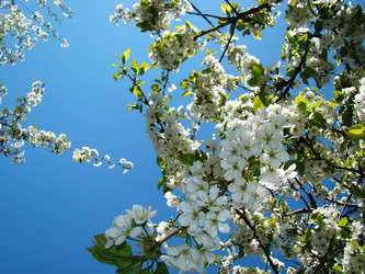 Similar image 1341495