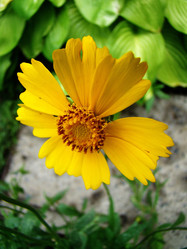 Similar image 1341497