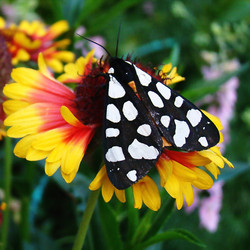 Similar image 1341502