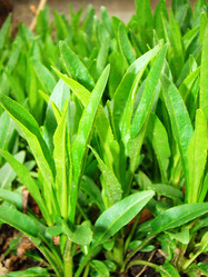 Similar image 1341503