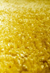 Similar image 1341515