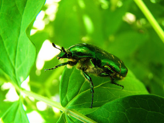 Similar image 1341517