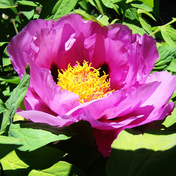 Similar image 1341518