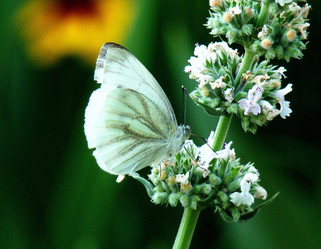 Similar image 1341521