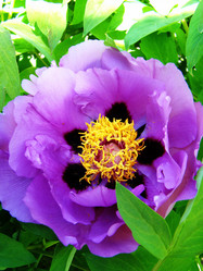 Similar image 1341522