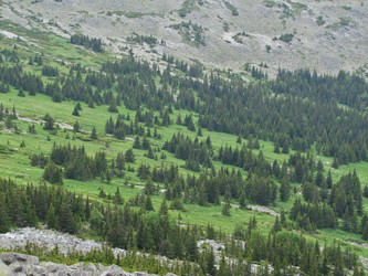 Similar image 1341528