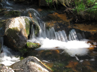 Similar image 1341535