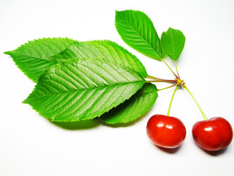 Similar image 1341598