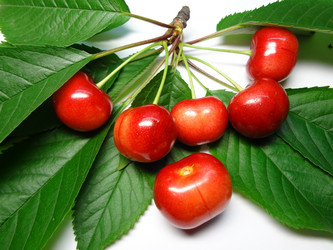 Similar image 1341602