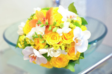 Similar image 1341608