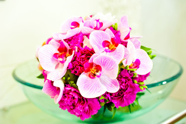 Similar image 1341612