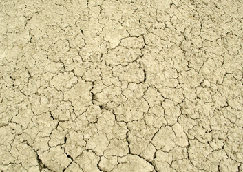 Similar image 1341642