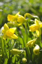 Similar image 1341666