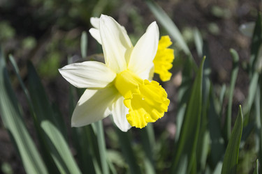 Similar image 1341667