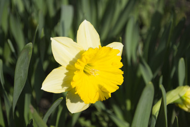 Similar image 1341668