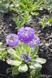 Similar image 1341672