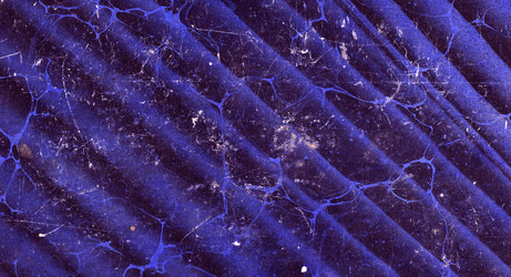 Similar image 1341707