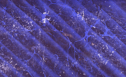 Similar image 1341717