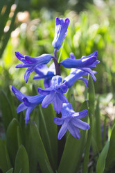 Similar image 1341719