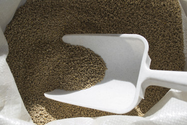 Similar image 1341721