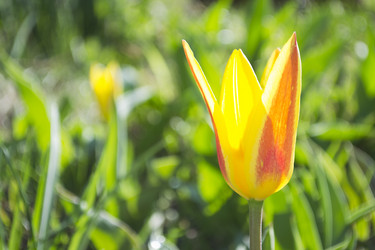 Similar image 1341734