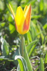 Similar image 1341737