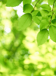 Similar image 1341790