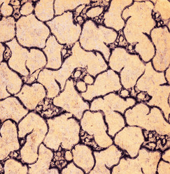 Similar image 1341814