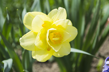 Similar image 1341828