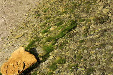 Similar image 1341865