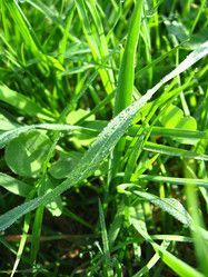 Similar image 1341903