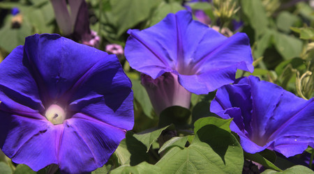 Similar image 1341919