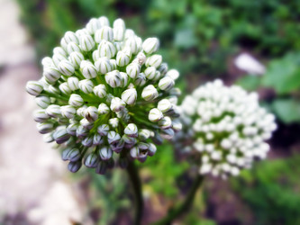 Similar image 1341935