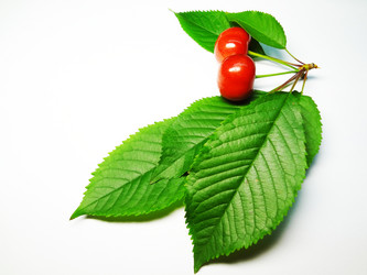 Similar image 1341937