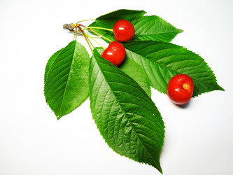 Similar image 1341941