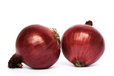 Similar image 1341982